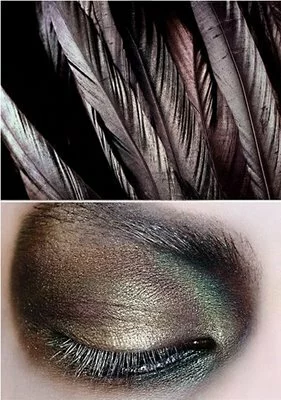 bird makeup bird makeup