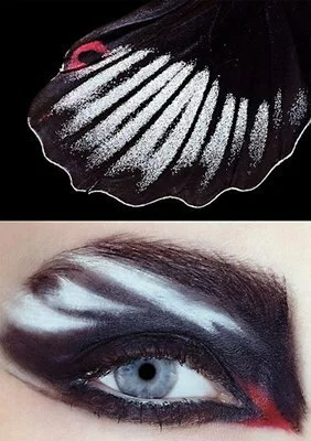 butterfly makeup